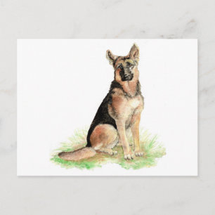 Cartão Postal Pastor Alemão, Cão, Animal de Estimação, Animal