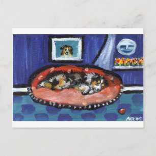 Cartão Postal Pastor australiano Blue Merle na cama