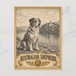 Cartão Postal Pastor Australiano, Coleção Vintage Heritage Dog