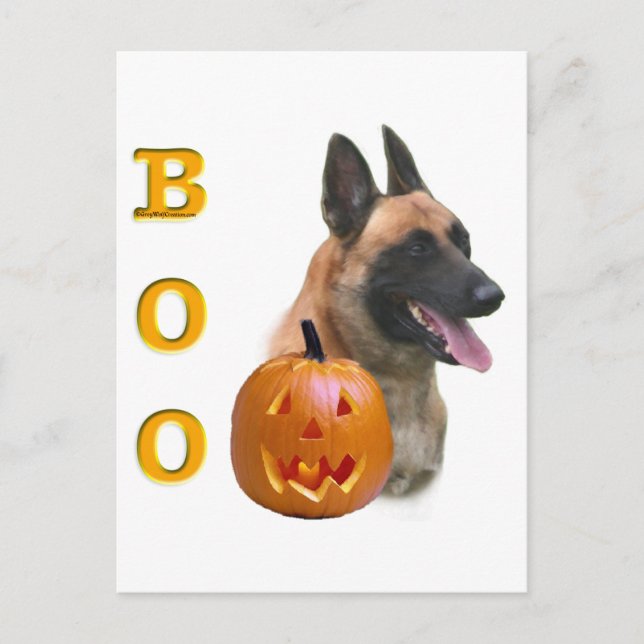 Cartão Postal Pastor Belga Malinois Boo (Frente)