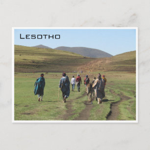 Cartão Postal pastor de lesotho