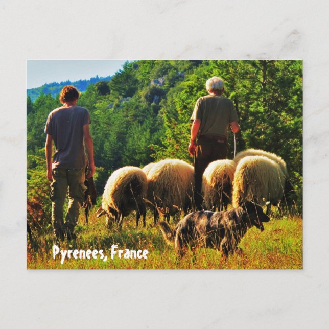 Cartão Postal Pastor na França (Frente)