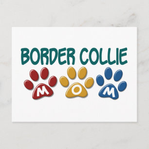 Cartão Postal Pata 1 da Mama de COLLIE FRONTEIRIÇA