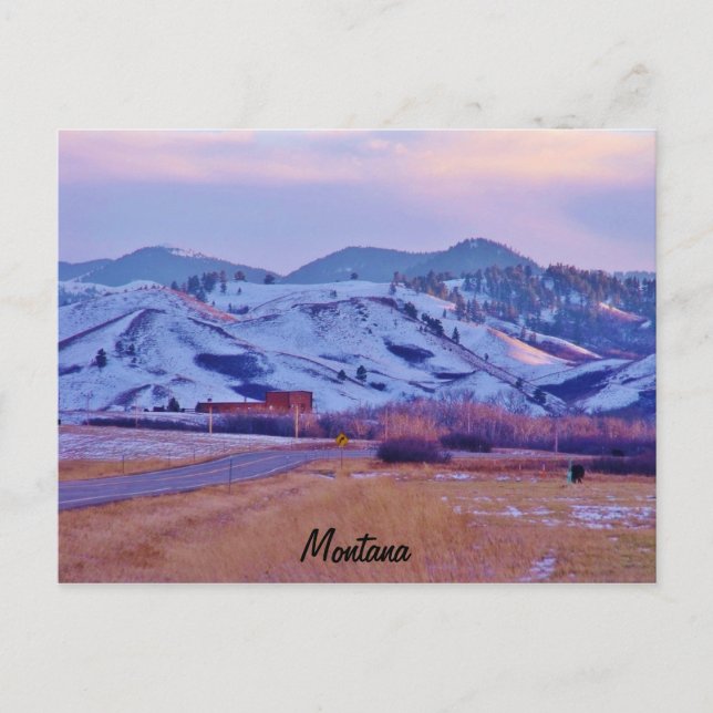 Cartão Postal Pata do Urso (Frente)