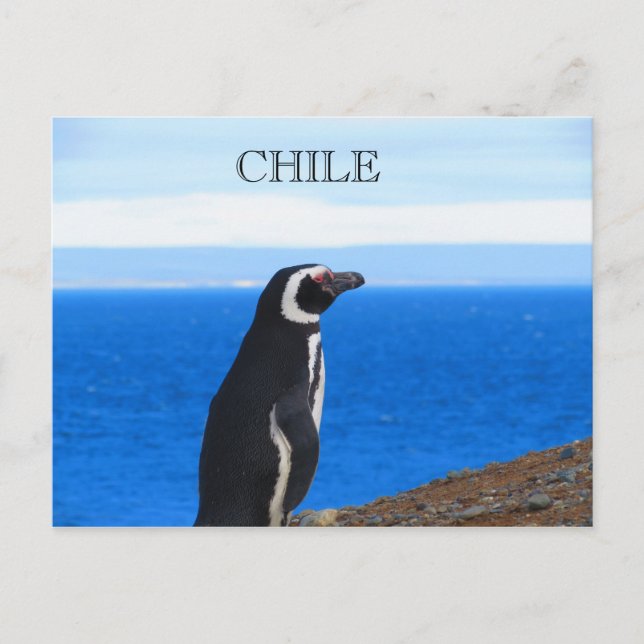 Cartão Postal Patagonia Chile (Frente)