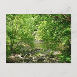 Cartão Postal Patapsco River View Maryland - Fotografia Natural