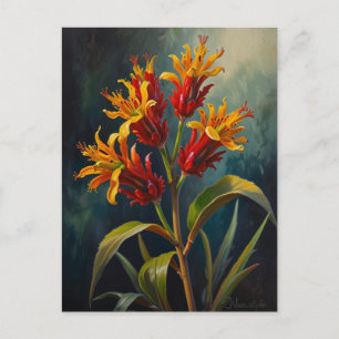 Cartão Postal Patas de canguru flores