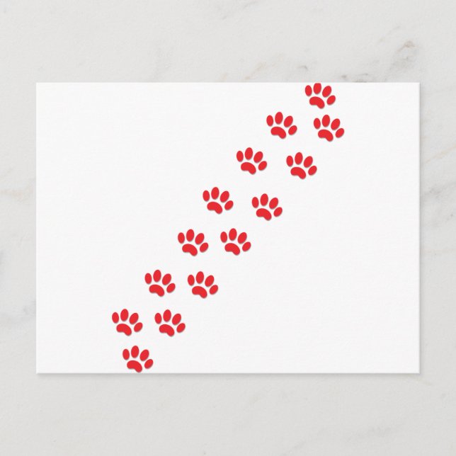 Cartão Postal Patas de Gato (Frente)