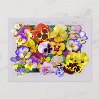 CARTÃO POSTAL PATCHWORK DE PANSY