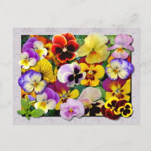 CARTÃO POSTAL PATCHWORK DE PANSY