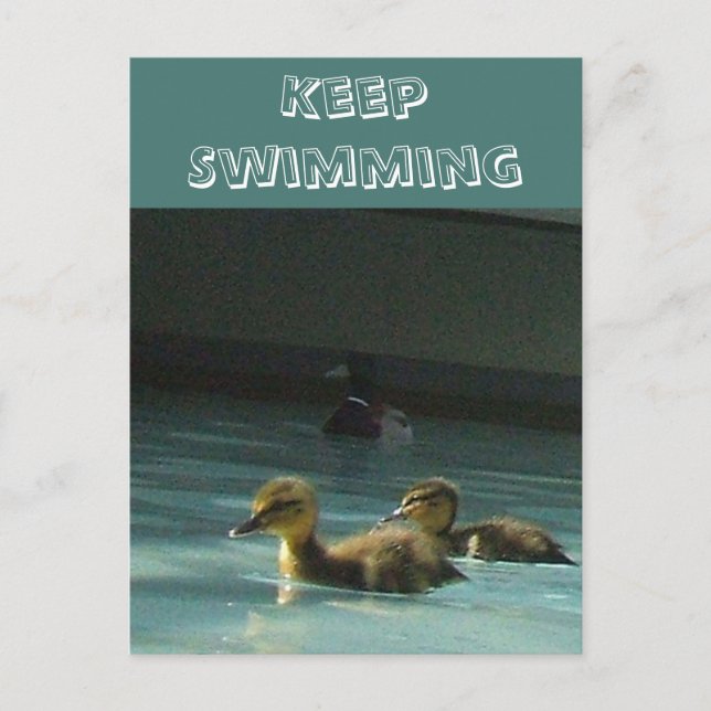 Cartão Postal Patinhos Nade Sempre (Frente)