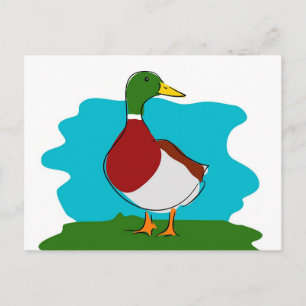 Cartão Postal Pato