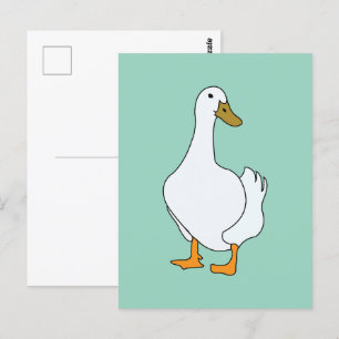 Cartão Postal Pato Ave Pato Branco 
