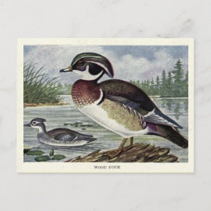 Cartão Postal pato de madeira