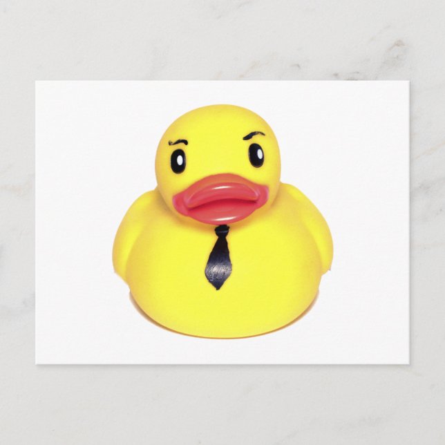 Cartão Postal Pato de Negócios (Frente)