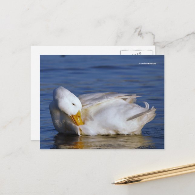 Cartão Postal Pato de Pequim Sorrindo um Sorriso de Mona Lisa no (Frente/Verso In Situ)