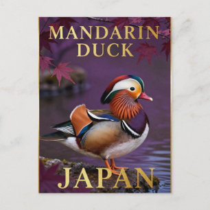 Cartão Postal 🦆 Pato-mandarim Japão Ave Exótica