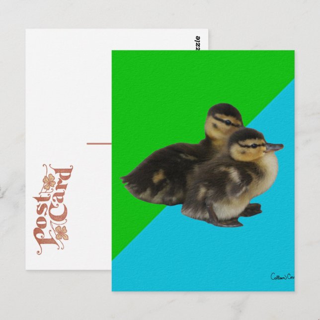 Cartão Postal Patos Bebês em Verde-claro e Azul-Céu (Frente/Verso)