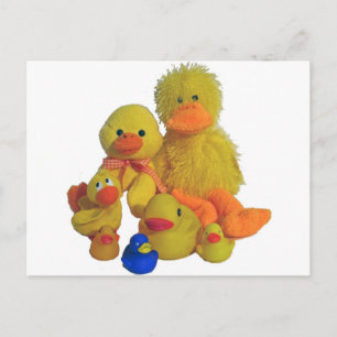 Cartão Postal patos buncha