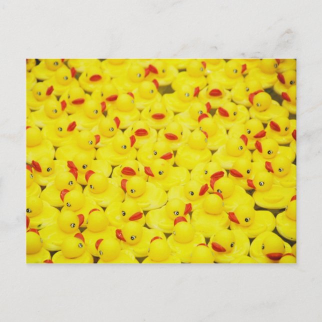 Cartão Postal Patos de borracha (Frente)