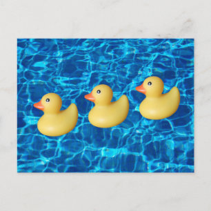 Cartão Postal Patos de Borracha Amarelos em Fila, Nadando Água 