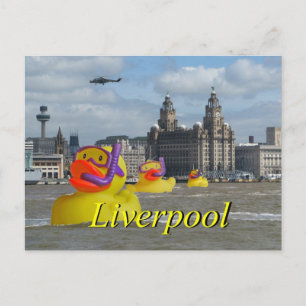 Cartão Postal Patos de Borracha no Mersey