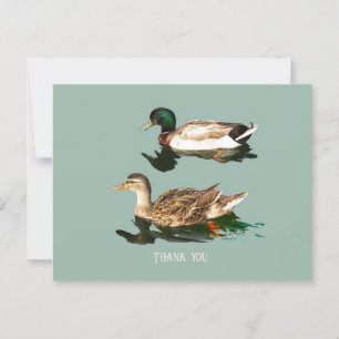 Cartão Postal Patos-de-pata