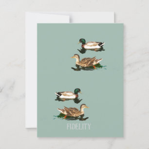 Cartão Postal Patos-de-patos-de-pata, glacés comestíveis
