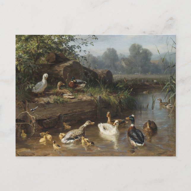Cartão Postal Patos do Stream de Carl Jutz (Frente)