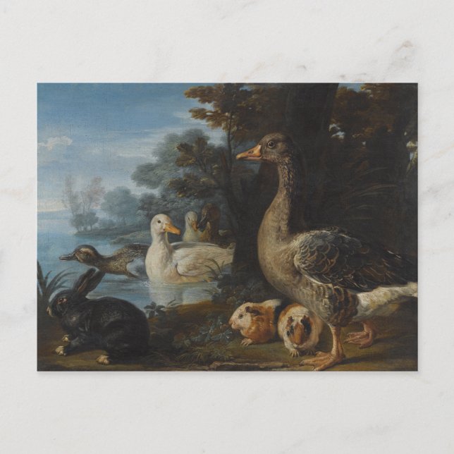 Cartão Postal Patos-Guiné e um coelho em uma Paisagem Wooded (Frente)