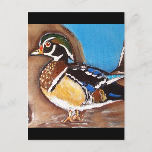 CARTÃO POSTAL PATOS-MANDARIM (Frente)
