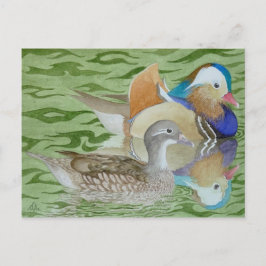 Cartão Postal Patos mandarins em um lago
