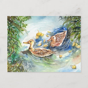 Cartão Postal Patos No Pond