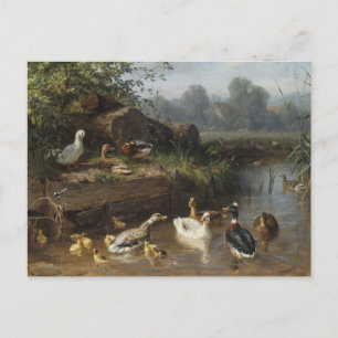 Cartão Postal Patos pelo riacho por Carl Jutz