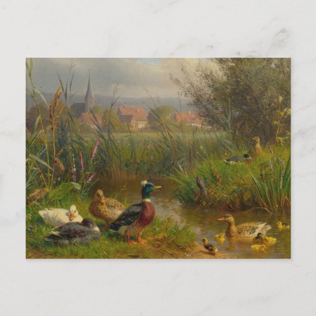 Cartão Postal Patos por Carl Jutz (Frente)