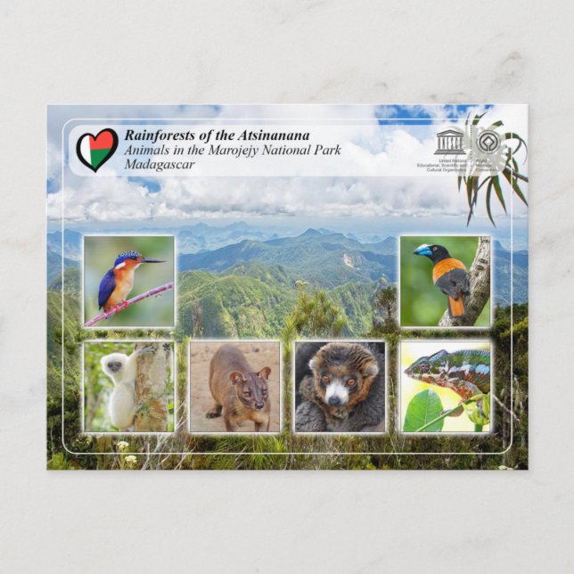 Cartão Postal Patrimônio Mundial da UNESCO - Atsinanana - Parque (Frente)