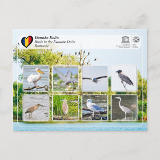 Cartão Postal Patrimônio Mundial da UNESCO - Aves no Delta do Da