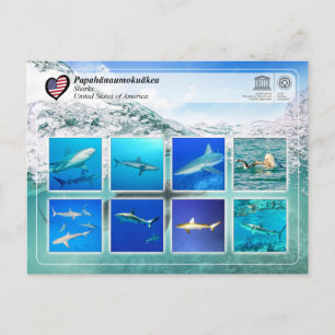 Cartão Postal Patrimônio Mundial da UNESCO - Papahānaumokuākea -