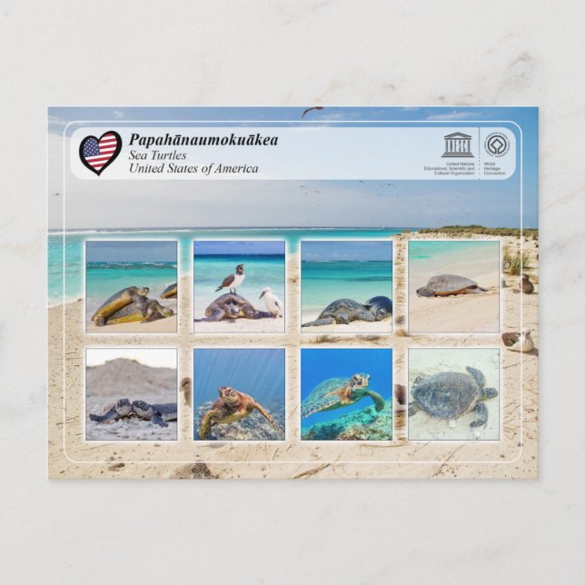 Cartão Postal Patrimônio Mundial da UNESCO - Papahānaumokuākea - (Frente)