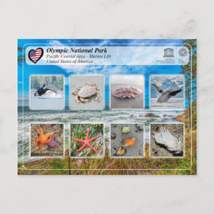 Cartão Postal Patrimônio Mundial da UNESCO - Parque Nacional Olí