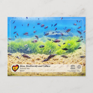 Cartão Postal Patrimônio Mundial UNESCO - Biodiversidade de Ibiz