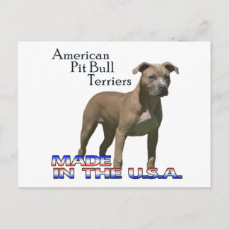Cartão postal Patriot American Pit Bull Terrier (A