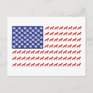 Cartão Postal Patriotic Schnauzer dog/USA
