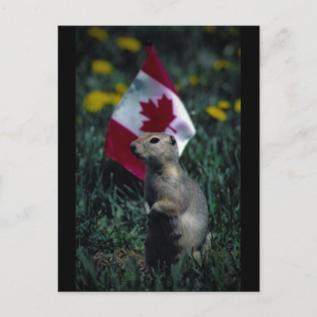 Cartão Postal Patriótico (Frente)