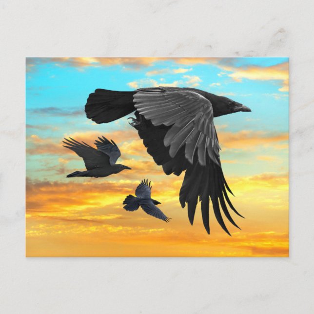 Cartão Postal "Patrulha Dawn" (Frente)