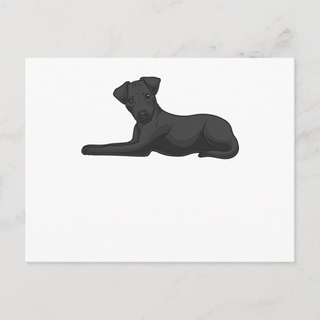 Cartão Postal Patterdale Terrier Dog (Frente)