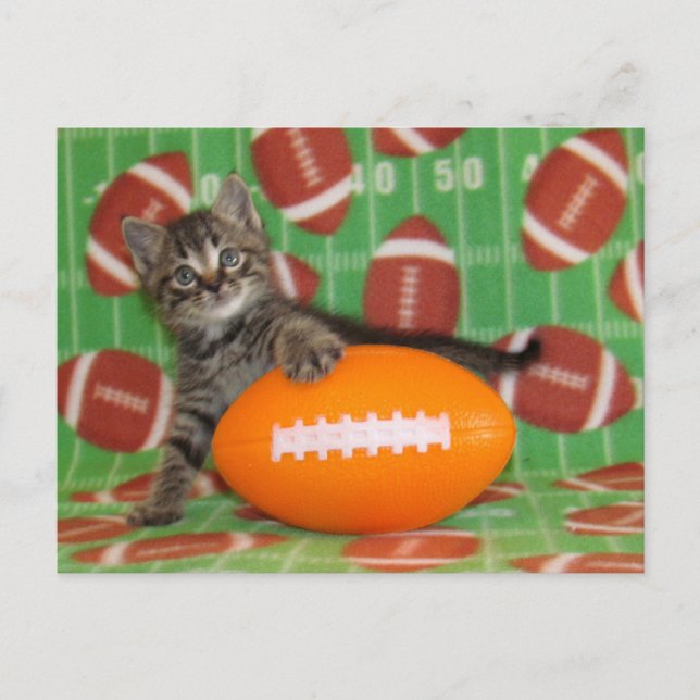 Cartão Postal Patton joga futebol - Cartão-postal de gato (Frente)
