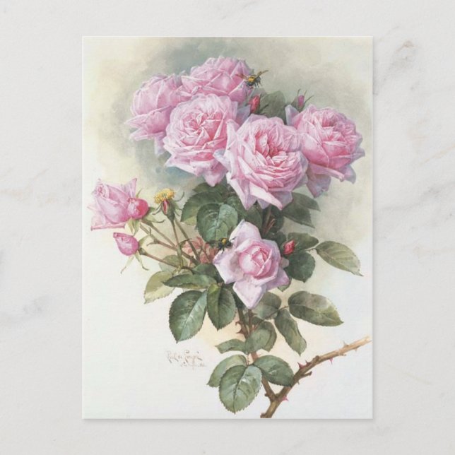 Cartão Postal Paul_de_Longpré_-_Rosa_and_Bumblebes,_1899 (Frente)
