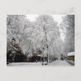 Cartão Postal Paul Revere Mall Trees cobertas na neve do inverno