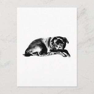 Cartão Postal Pausa Gráfica, Boas Notícias